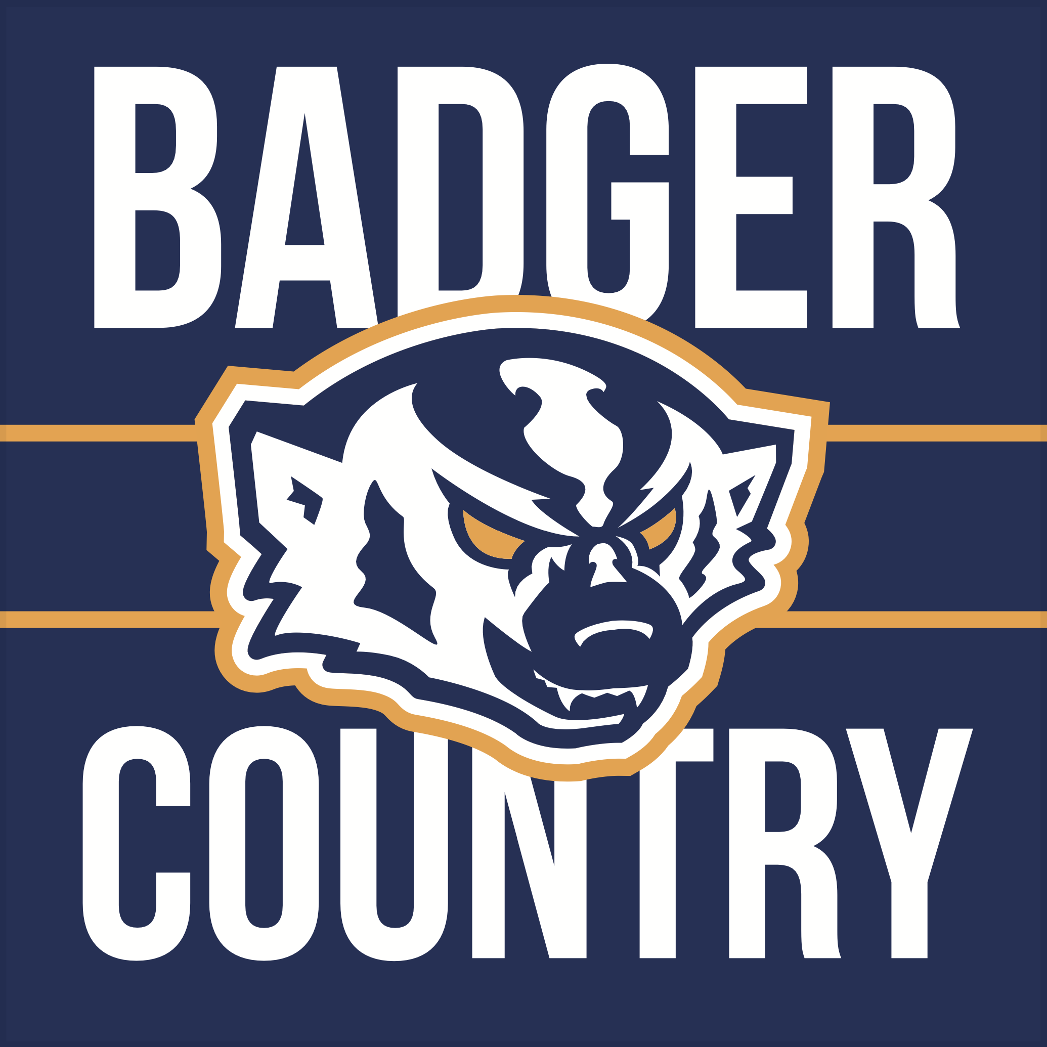 Badger Country Logo
