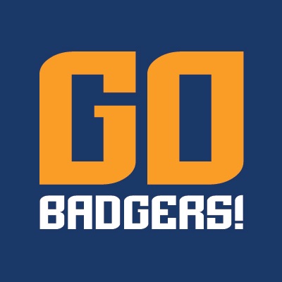 Go Badgers Icon