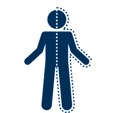 Human body, half is traced by a dotted line that cuts down the symmetric part of the human vertically.