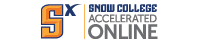 Snow Accelerated Online